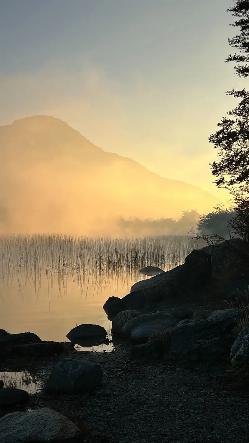 Neblina en la mañana sobre el agua