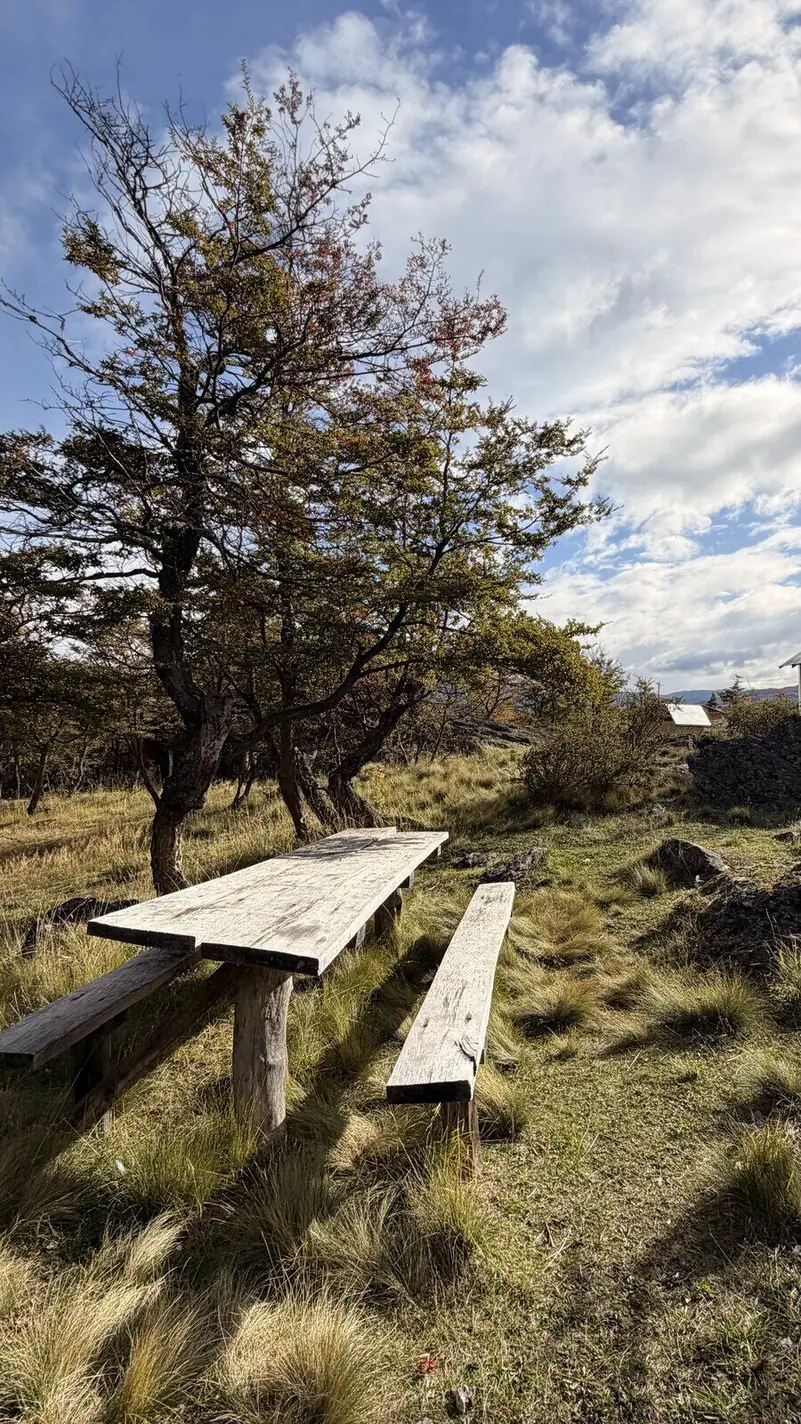 Mesas de picnic entre los árboles