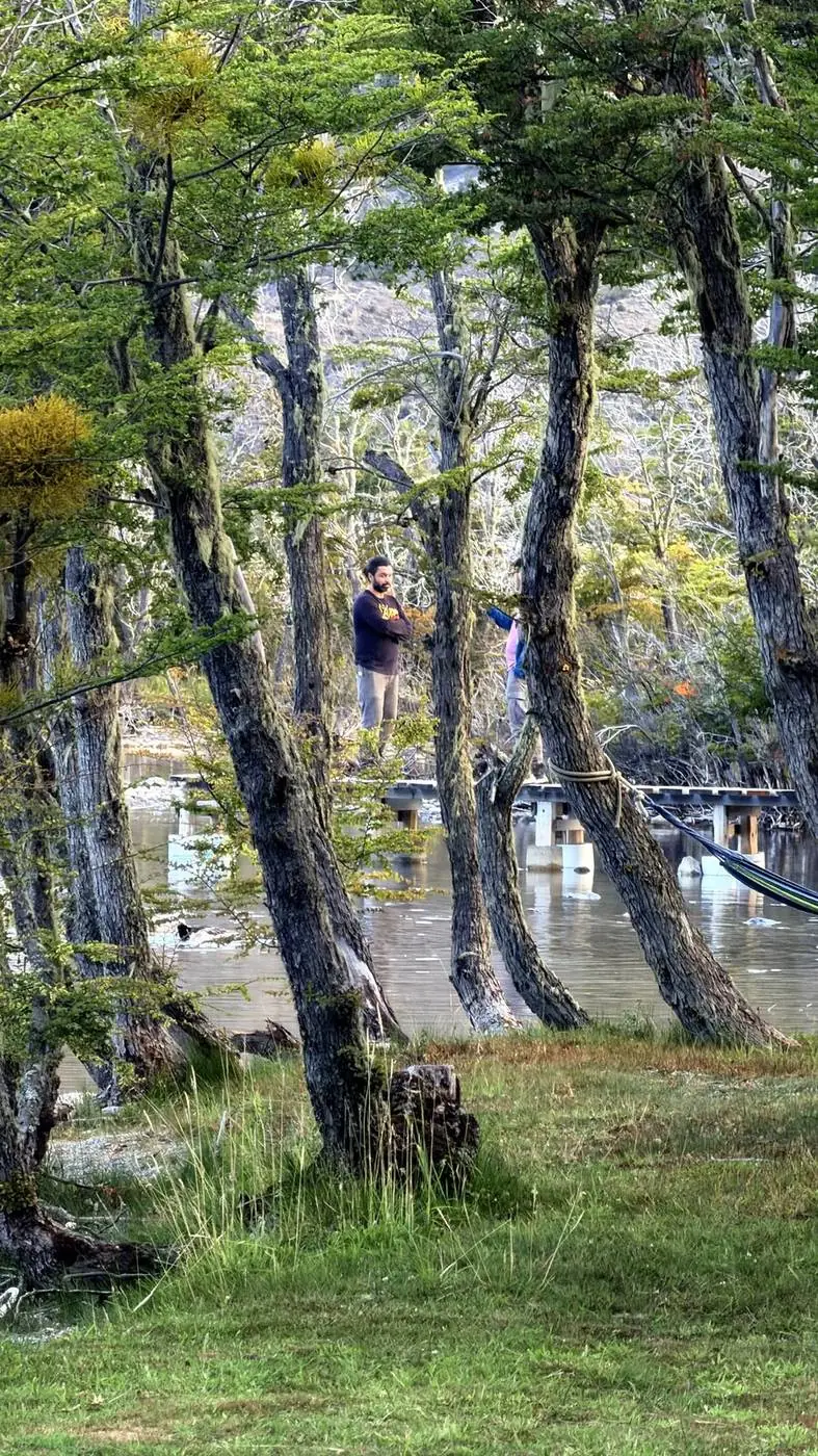 El bosque de la orilla