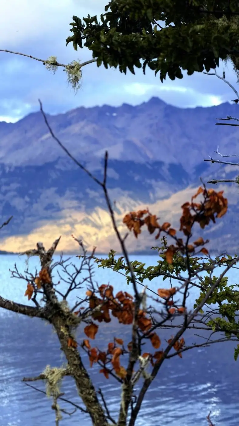 Hojas de otoño sobre el lago, con los cerros detrás