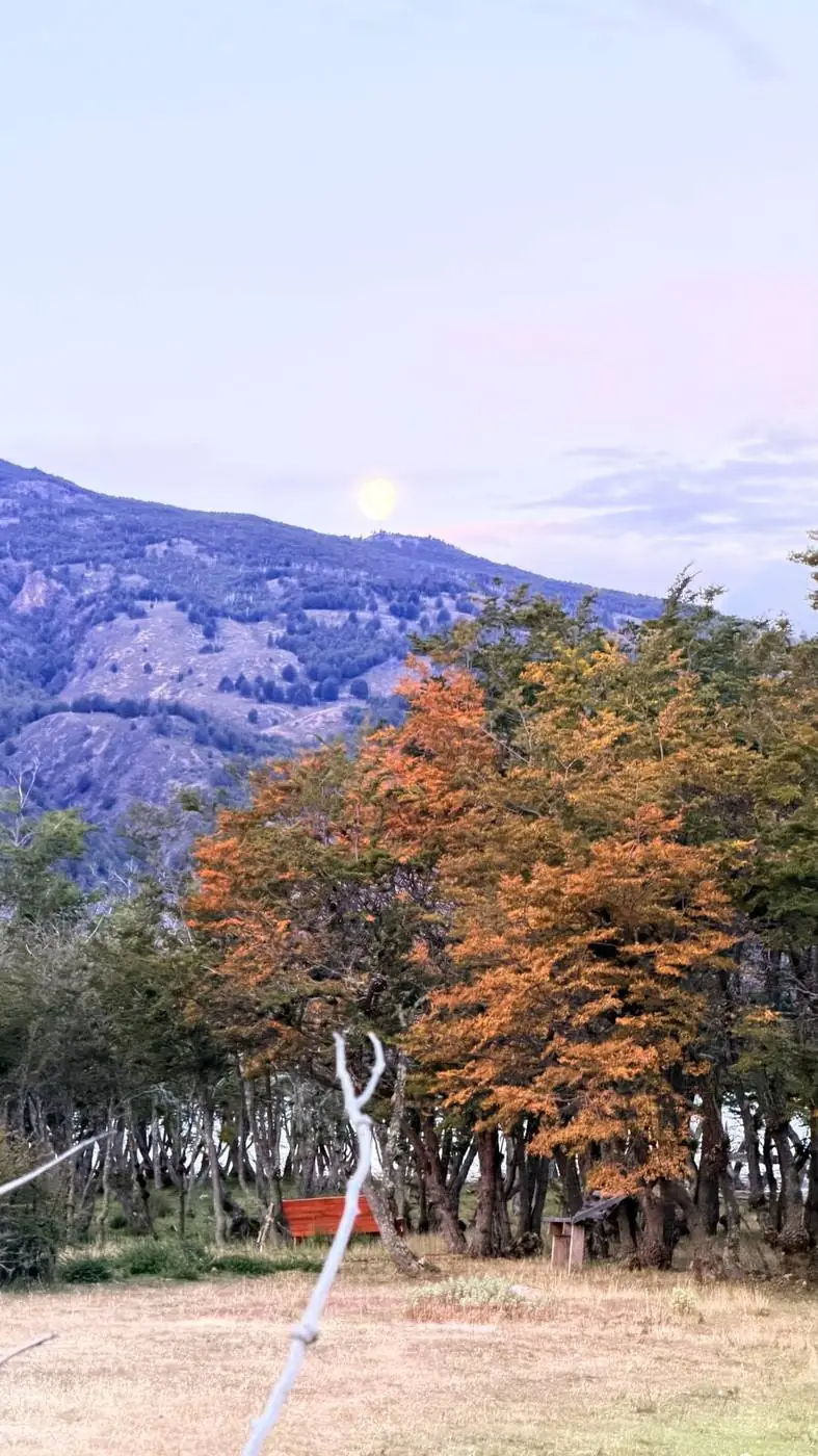 Árboles de otoño, naranjos y rojos