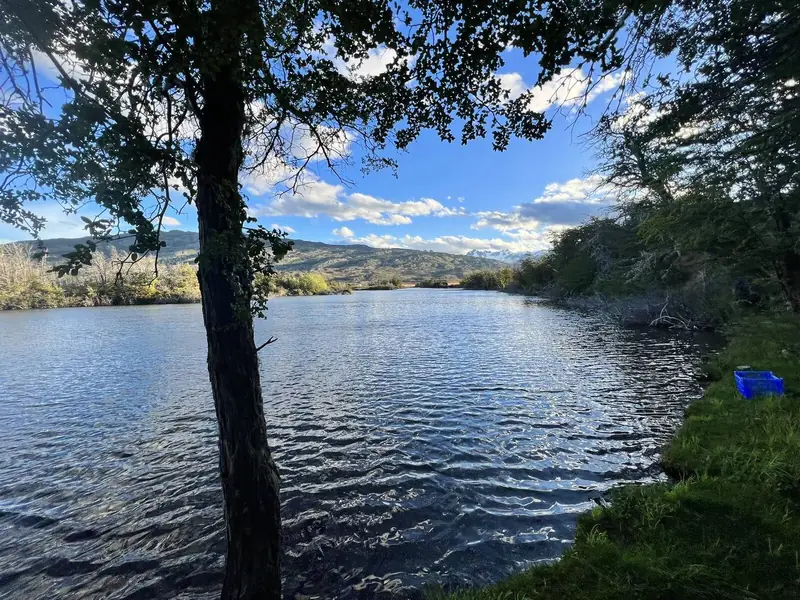 El lago Brown entre los árboles, con cielo azul
