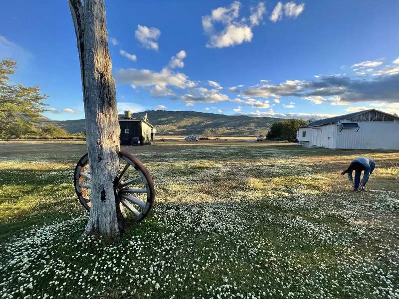 Una rueda de carreta en el pasto, con la casa al fondo
