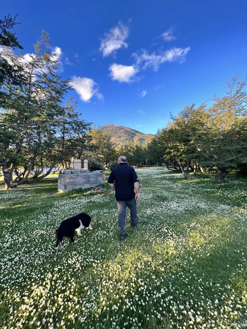 Caminando por el camping con uno de los perros