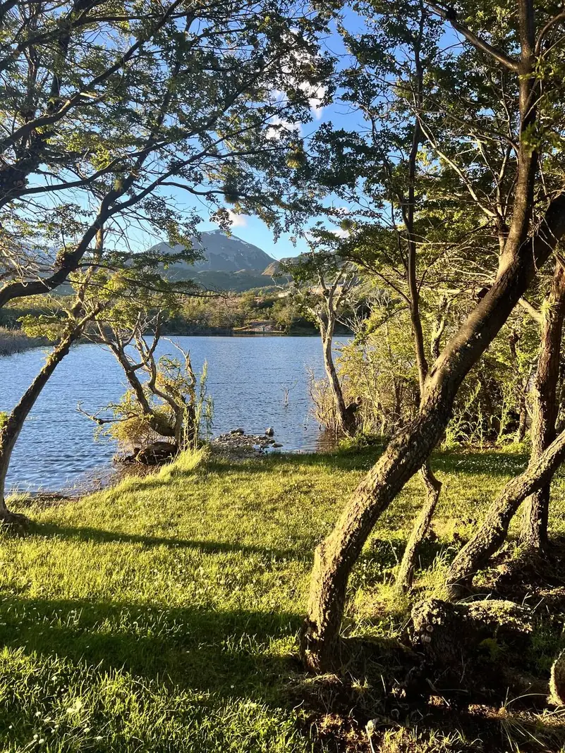 La orilla del lago entre los árboles, con luz de tarde