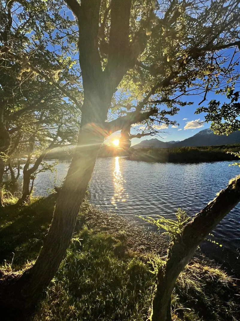 El sol entre las ramas, sobre el lago