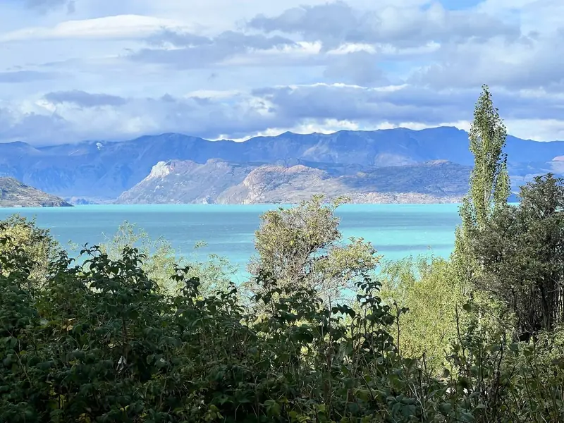 El lago turquesa desde el bosque