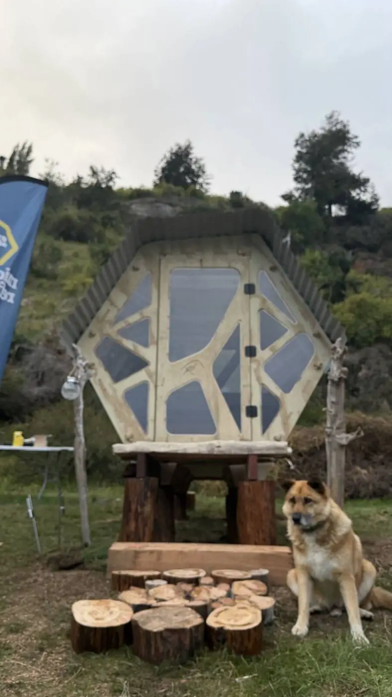 El refugio y un perro, al pie del lago