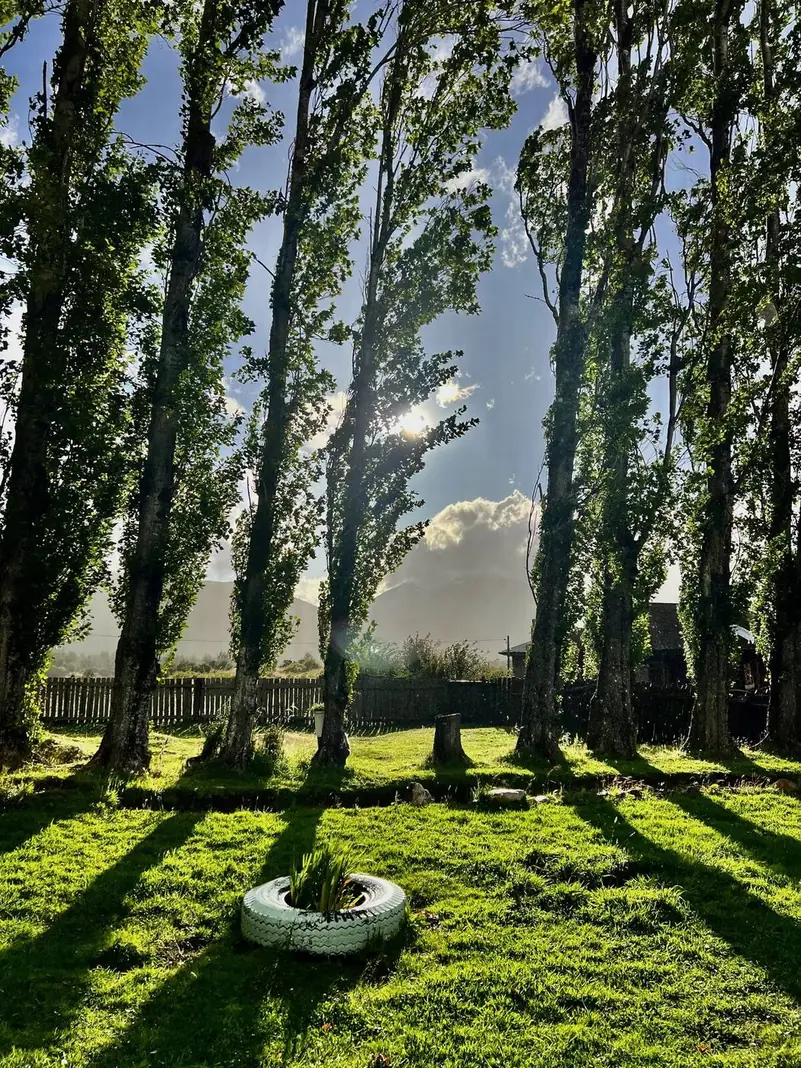 Las alamedas de El Risquero, con sus sombras largas en el pasto