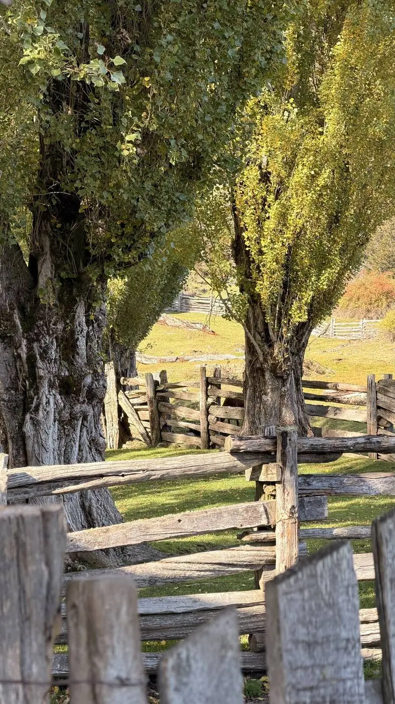Las cercas de madera del campo