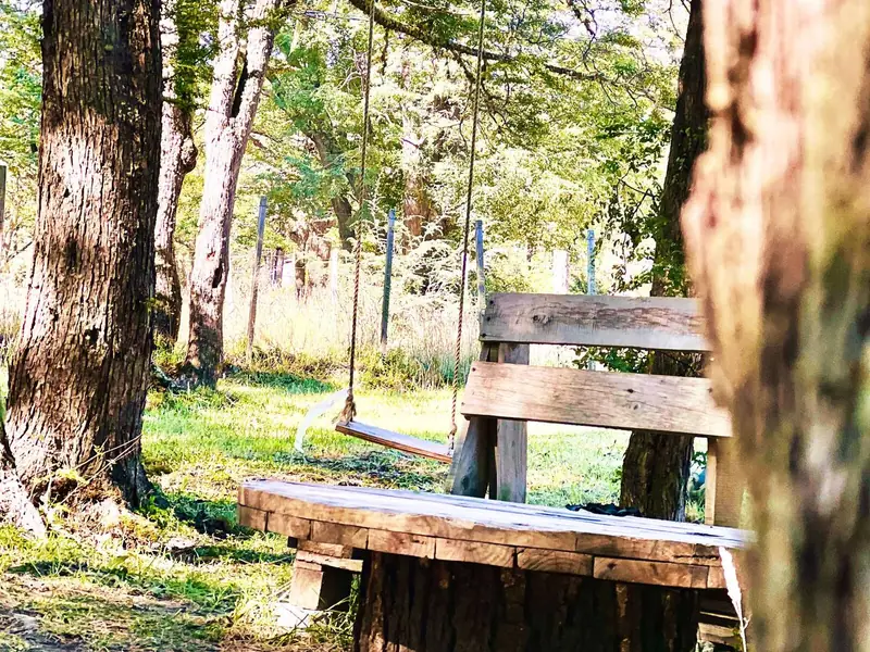Una banca de madera entre los árboles